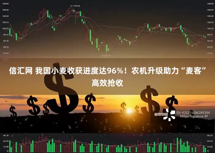 信汇网 我国小麦收获进度达96%！农机升级助力“麦客”高效抢收