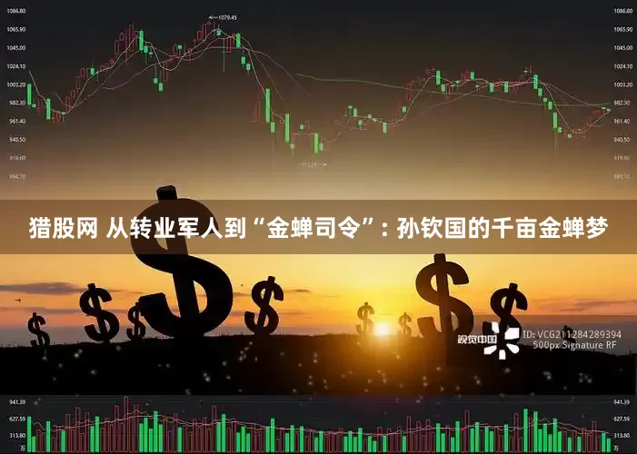 猎股网 从转业军人到“金蝉司令”: 孙钦国的千亩金蝉梦