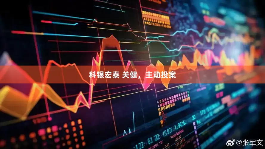 科银宏泰 关健，主动投案