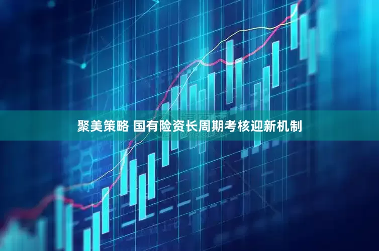 聚美策略 国有险资长周期考核迎新机制