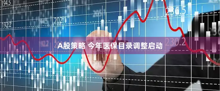 A股策略 今年医保目录调整启动
