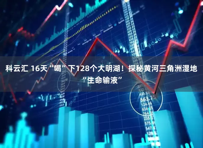 科云汇 16天“喝”下128个大明湖！探秘黄河三角洲湿地“生命输液”