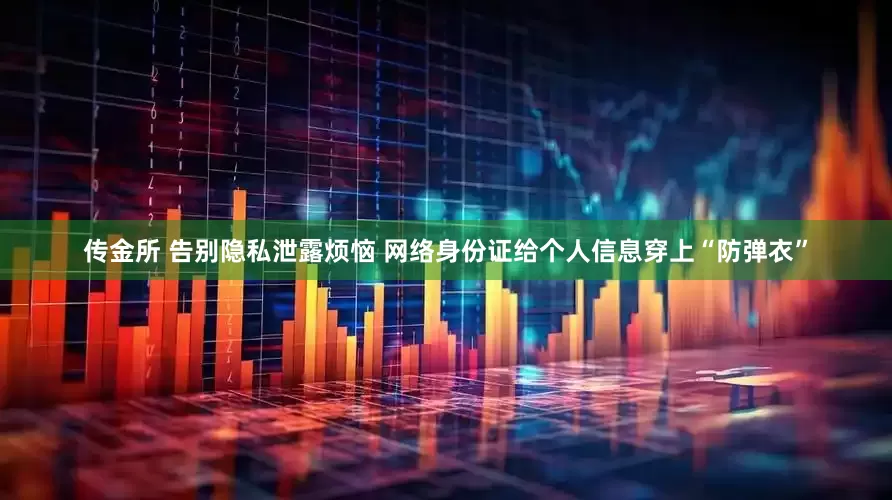 传金所 告别隐私泄露烦恼 网络身份证给个人信息穿上“防弹衣”