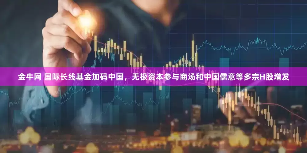 金牛网 国际长线基金加码中国，无极资本参与商汤和中国儒意等多宗H股增发
